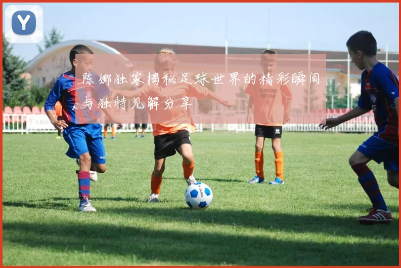 陈娜独家揭秘足球世界的精彩瞬间与独特见解分享