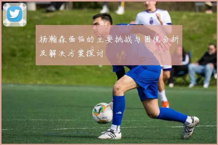杨瀚森面临的主要挑战与困境分析及解决方案探讨